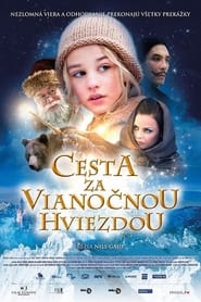 Cesta za Vianočnou hviezdou (2012)