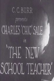 The New School Teacher