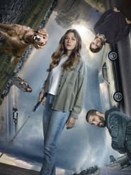 In the Dark poster