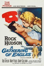 A Gathering of Eagles 1963 吹き替え 無料動画