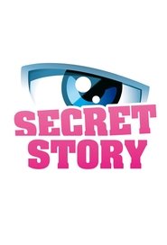 Secret Story (2011) Secret Story (2011)