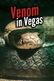 Poster Venom In Vegas