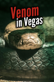 Venom In Vegas