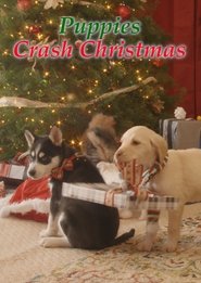 Poster Streaming Wonderland: Puppies Crash Christmas 2017
