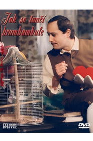 Jak se tanč&iacute; brumbambule (1985)