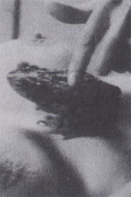 The Essence of Transformation