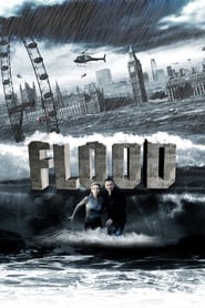 Poster Flood 2007