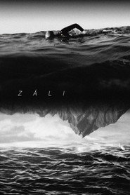 Záli