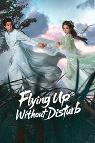 Flying Up Without Disturb poster