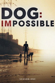 Dog: Impossible poster