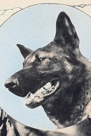 Wolfheart the Dog collection poster