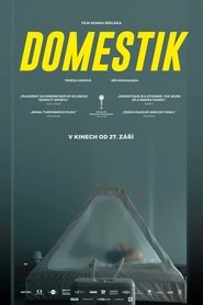 Domestik poszter