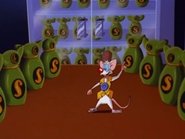 Pinky and the Brain - Episode 3x20