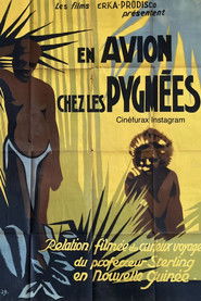 Adventures in Pygmy Land