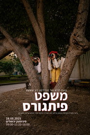 משפט פיתוגרס