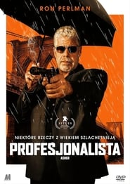 Profesjonalista