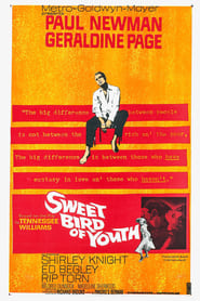 Sweet Bird of Youth постер