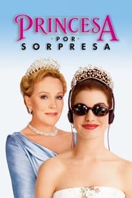 Princesa por sorpresa poster