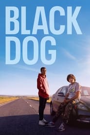 Poster Black Dog