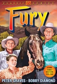 Fury poster