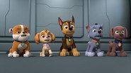 Big Truck Pups: Pups Save the Swiped Speakers