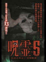 Submitted Ghost Videos That Cannot be Broadcast 5 (2015)