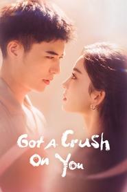 Got a Crush on You poster