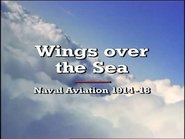 Wings Over the Sea