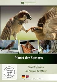 Poster Planet der Spatzen