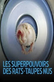 Les superpouvoirs des rats-taupes nus streaming