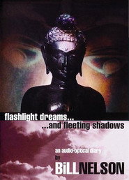 Flashlight Dreams and Fleeting Shadows