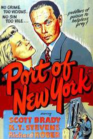 Port of New York постер