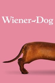 Poster Wiener Dog