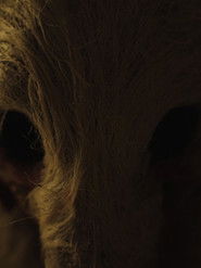 With Sticks and Stones