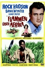 Poster Flammen über Afrika