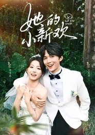 Affiche de 她的小新欢