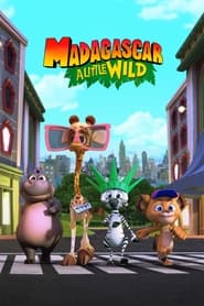 Madagascar: A Little Wild: Temporada 3