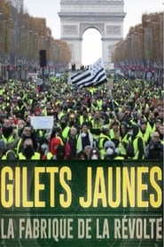 Gilets jaunes La fabrique de la révolte