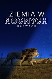 Ziemia w nocnych barwach