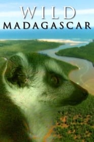 Poster Wild Madagascar 1970