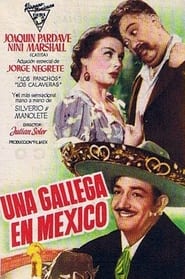 Poster Una gallega en México