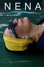 Poster Nena 2017