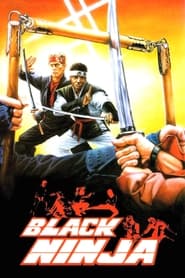 Poster Ninja: Silent Assassin 1987
