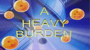 A Heavy Burden