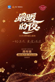河北卫视“最暖的夜”2026跨年爱心盛典
