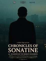 Chronicles of Sonatine or: Shadows of the Broken Memories (2025)