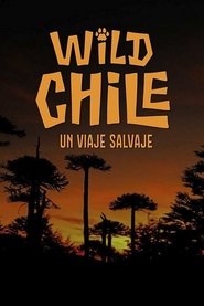 Poster Chile: A Wild Journey - The Special 2020