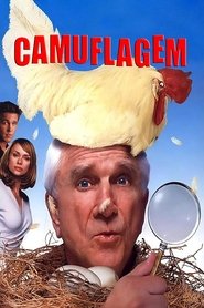 Pôster de Camuflagem