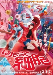 Cells at Work! Cells at Work!