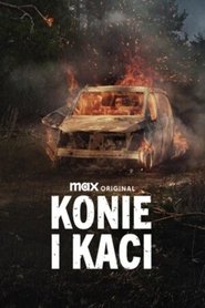 Konie i kaci | CDA Lektor PL